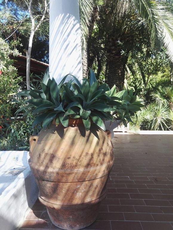 פונזה Cala Cavone Guest House מראה חיצוני תמונה