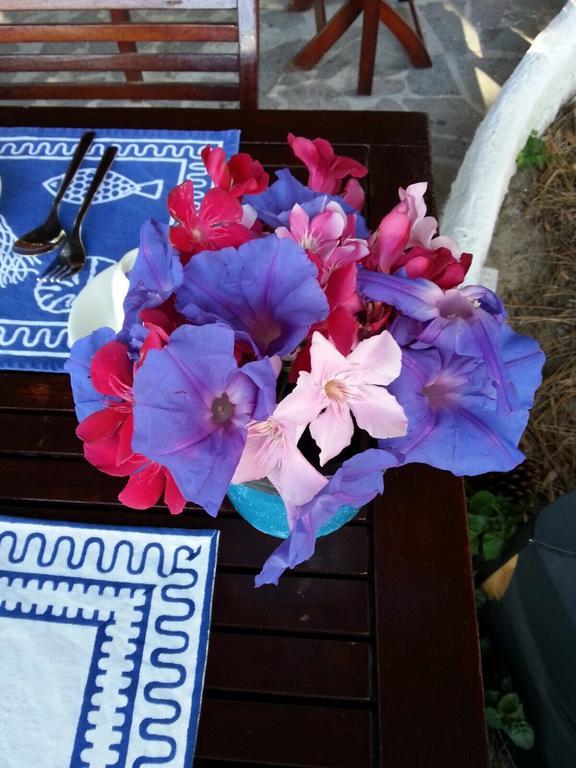 פונזה Cala Cavone Guest House מראה חיצוני תמונה